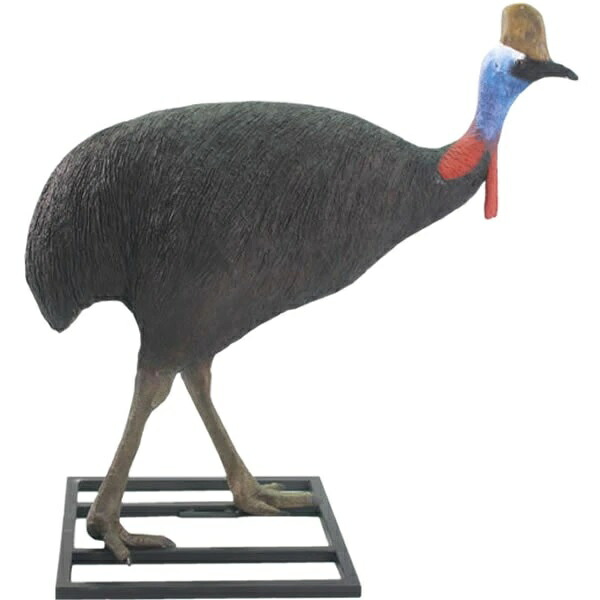 ヒクイドリ雄（牡） Cassowary Male 強化因子可塑性物質 (FRP) 芸術オブジェ 実際的 鳥 飾りつけ 実物大 ガーデニング 飾りもの 映える 庭 入り口・入口 外 軽さ 室内 毛の荒物 像 露天 図形 室内装飾 毛の荒物  他愛も無い 等身大 バス発着場 毛の荒物園 fr080155