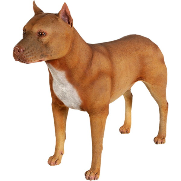 窪溜まりブル Pitbull 強化因子可塑性物質 (FRP) 芸術オブジェ 実際的 犬 飾りつけ 実物大 ガーデニング 飾りもの 映える 入り口・入口 外 軽さ 毛の荒物 像 飼い犬 庭 園地 図形 室内装飾 毛の荒物 秘密捜査員 他愛も無い 等身大 バス発着場 毛の荒物園 fr130009
