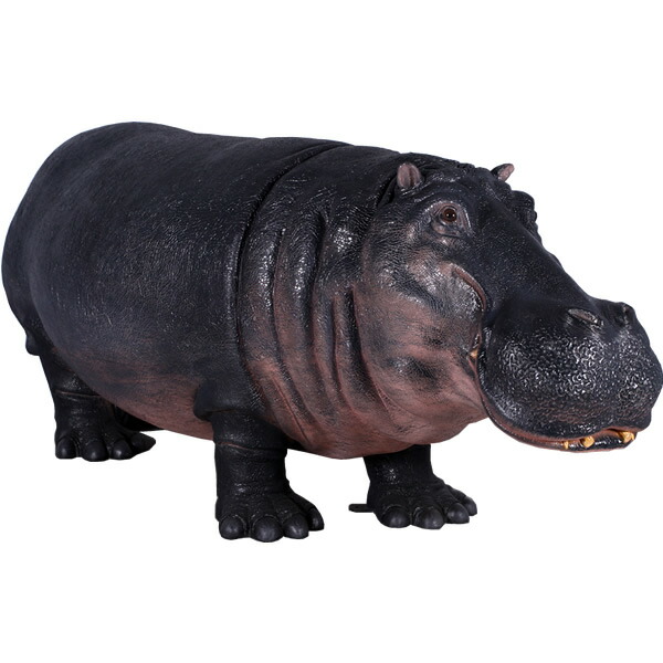 FRPアニマルオブジェ 河馬 Hippopotamus 写実的 実物大 馬鹿でかい 図形 毛の荒物 像 ガーデニング 飾りつけ カバ 毛の荒物園 室内装飾 大層らしい 等身大 かば 飾りつけ 庭 外 バス発着場 喫茶店 茶房 食べ物屋 飲食店 出来事 見せびらかす fr140043