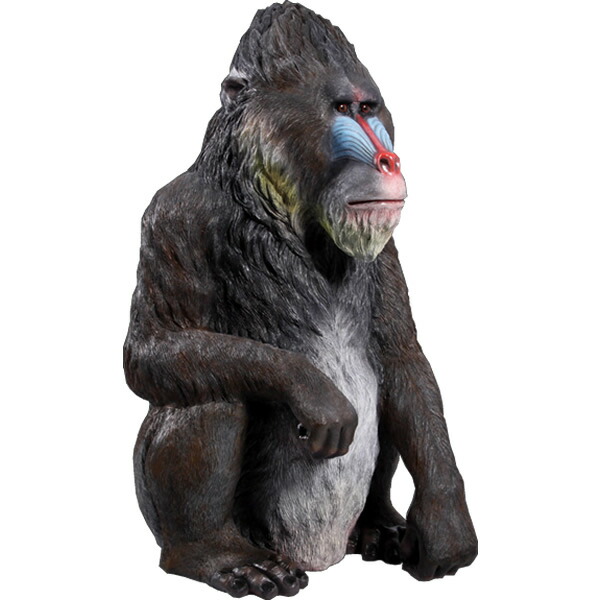 FRPアニマルオブジェ マンせん孔機 Mandrill 毛の荒物 像 飾りつけ 室内装飾 ガーデニング オブジェ 実際的 猿 愛くるしげ 類人猿 毛の荒物園 バス発着場 喫茶店 茶店 大衆食堂 飲食店 でき事 映える さる 他愛も無い 見せびらかす 庭 入り口・入口 外 実物大 等身大 図形 軽さ fr140094