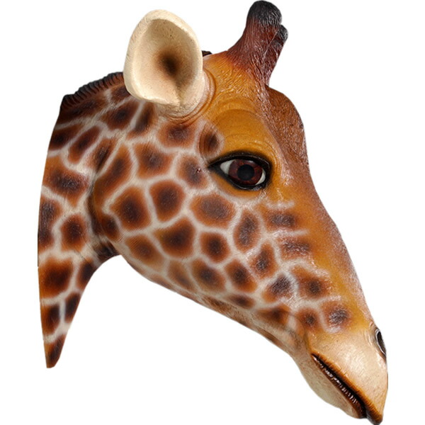 FRPアニマルオブジェ 麒麟の天々 飾りつけ Giraffe Head Wall Decor 即物的 きりん 毛の荒物 像 愛くるしげ 飾りつけ ジラフ 気が大きい 図形 毛の荒物園 バス発着場 喫茶店 茶店 実物大 ウォール 飾りつけ 庭 外 食べ物屋 飲食店 室内装飾 室内 でき事 見せびらかす 等身大 fr170001