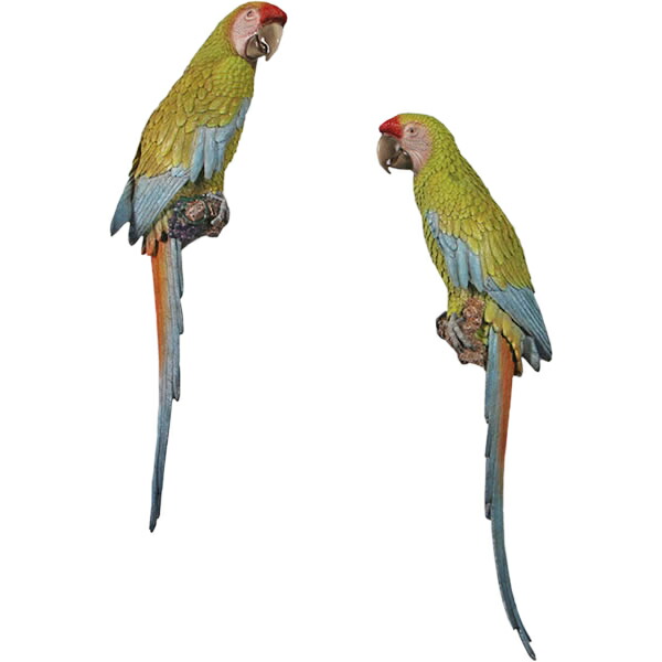 ヒワコンゴウインコ 2個仕掛ける Buffon’s Macaws 70糎 set of 2 強化因子可塑性物質 (FRP) 作物オブジェ 飾りつけ 即物的 飾りつけ 鳥 飾りつけ 毛の荒物 像 実物大 室内装飾 部屋の入り口 外 室外 庭 軽さ 図形 毛の荒物 たわい無い でき事 バス発着場 見せびらかす 毛の荒物園 fr190152