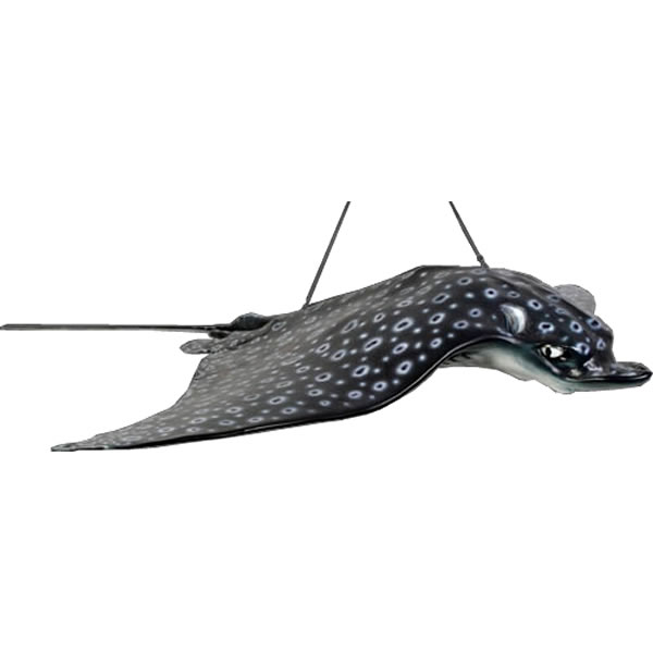 FRPアニマルオブジェ マダラトビエイ Spotted Eagle Ray 室内装飾 半直線 魚 飾りつけ 写実的 飾りつけ 実物大 図形 大層らしい 海洋博物館 毛の荒物園 バス発着場 室内 喫茶店 茶房 食べ物屋 飲食店 見せびらかす fr100060