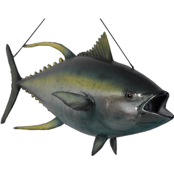 リアルマグロ立体オブジェ 約1m？ 楽天市場】FRPアニマルオブジェ マグロ Bluefin Tuna リアル