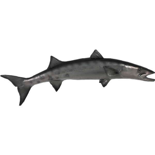 FRPアニマルオブジェ バラクーダ Barracuda リアル 魚 置物 インテリア オーナメント オニカマス フィギュア 実物大 動物 大きい 水族館 動物園 店舗 室内 カフェ 喫茶店 レストラン 飲食店 ディスプレイ fr100077