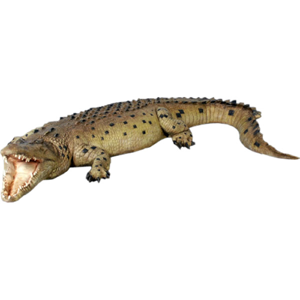 FRPアニマルオブジェ 巨大なクロコダイル Crocodile 12ft. 体長約3m43cm 置物 リアル 大きい ワニ フィギュア 実物大 ガーデニング オーナメント 動物園 くろこだいる 鰐 インテリア 店舗 室内 カフェ 喫茶店 レストラン 飲食店 ディスプレイ fr110091
