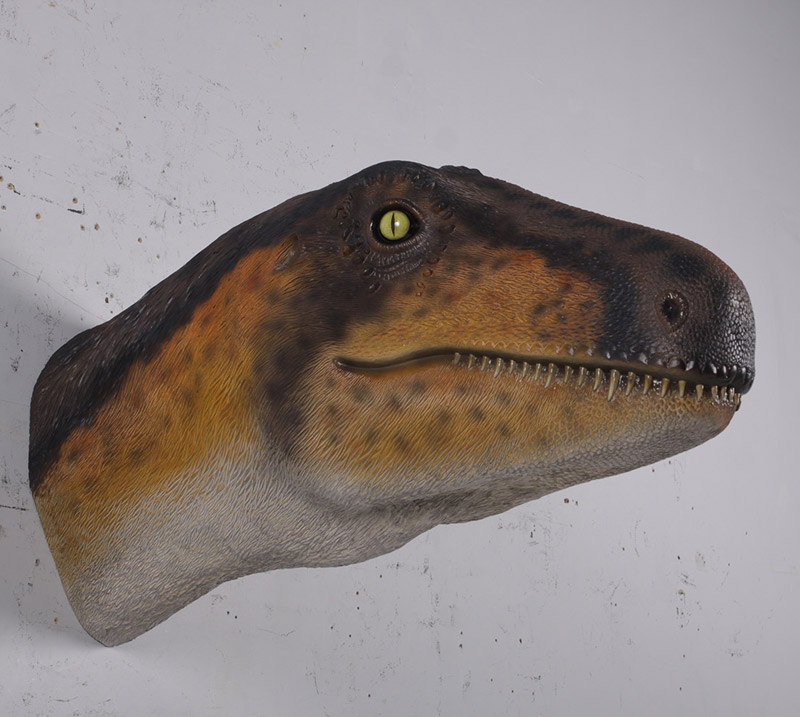 FRP恐竜オブジェ 飾りつけテラポッド天天 Theropod Head Wall Decor 写実的 ウォール 飾りつけ 飾りつけ 実物大 室内装飾 図形 大層らしい ひな形 総合博物館 室内 バス発着場 庭園 庭 茶房 食べ物屋 飲食店 等身大 毛の荒物園 出来事 見せびらかす fr180097