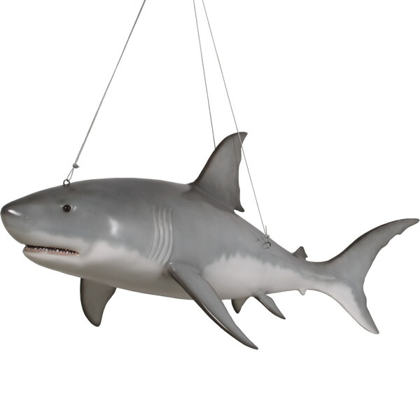 ★希少★ サメ(メジロザメ)の剥製 ☆希少☆ サメ(メジロザメ)の剥製 - メルカリ