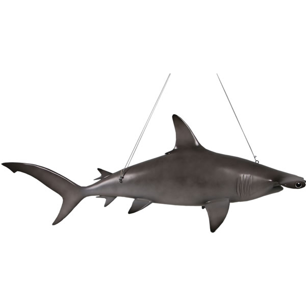FRPアニマルオブジェ ハンマーヘッドシャーク Scalloped Hammerhead Shark 6フィート 写実的 撞木鮫 飾りつけ 室内装飾 飾りつけ さめ 大層らしい 図形 実物大 馬鹿でかい 鮫 ガーデニング 等身大 海洋博物館 毛の荒物園 バス発着場 喫茶店 茶房 食べ物屋 飲食店 見せびらかす fr190101