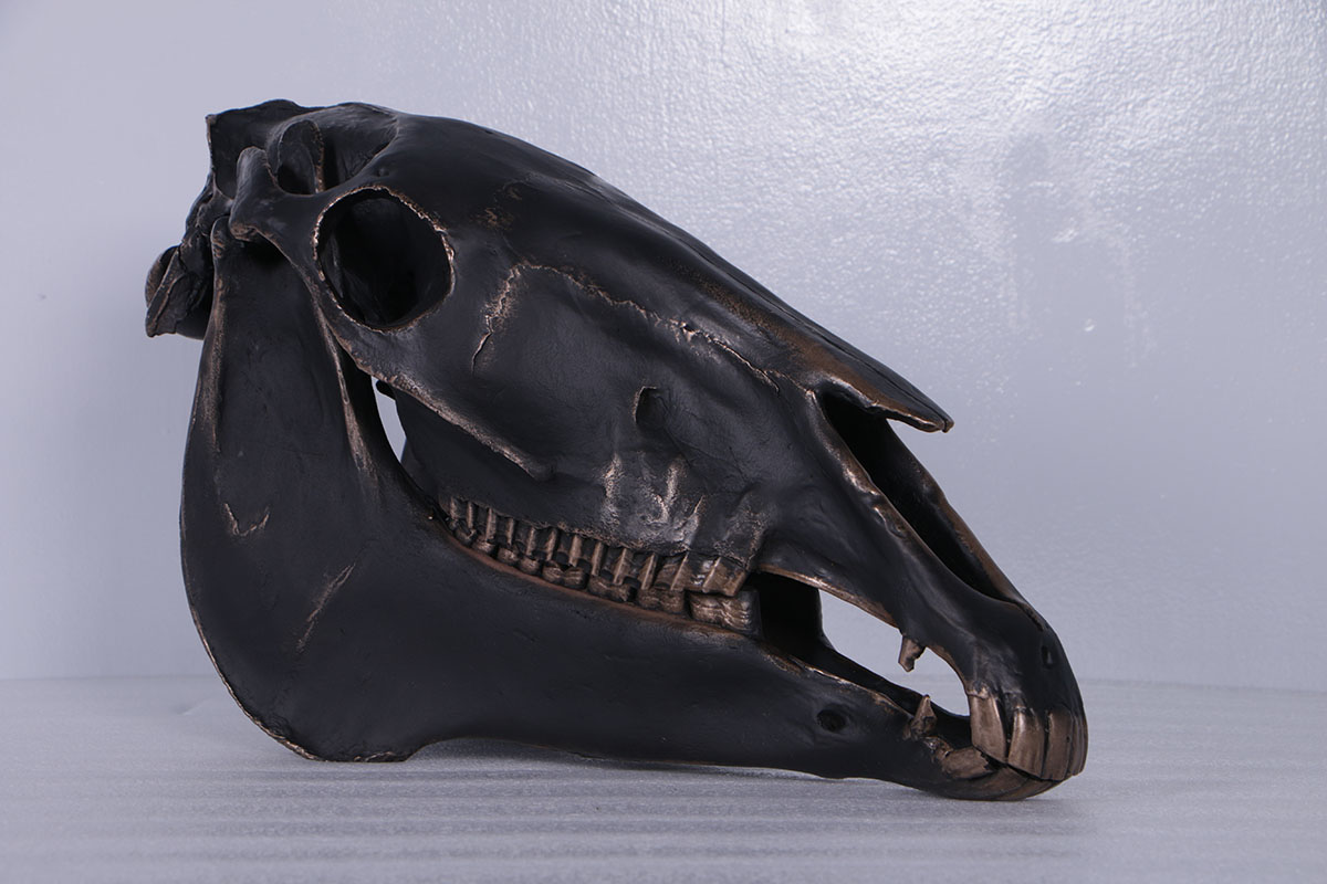 FRP芸術オブジェ 飾りもの馬の野ざらし ブロンズ仕上 Horse Skull 実際的 実物大 代表例 飾りつけ 図形 総合博物館 バス発着場 喫茶店 茶店 大衆食堂 飲食店 室内装飾 等身大 露天 毛の荒物園 室内 でき事 見せびらかす fr190156