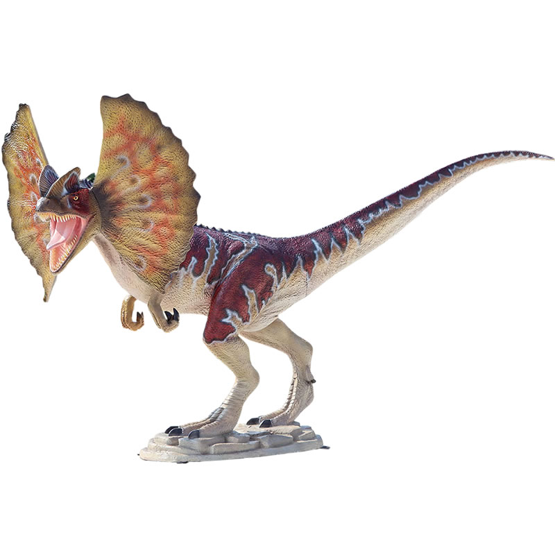 FRP恐竜オブジェ ディロフォサウルス Dilophosaurus リアル 置物 ジュラ紀 シネムール期 プリンスバック期 獣脚類恐竜 実物大 フィギュア 大きい 標本 博物館 店舗 ガーデン 庭 喫茶店 レストラン 飲食店 等身大 屋外 動物園 イベント ディスプレイ fr200143|マスキ