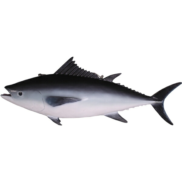 FRPアニマルオブジェ 本鮪 Tuna Fish 即物的 まぐろ 気が大きい 室内装飾 飾りつけ 実物大 鮪 飾りつけ 海洋博物館 魚 毛の荒物 像 図形 等身大 室外 毛の荒物園 バス発着場 室内 喫茶店 茶店 食べ物屋 飲食店 見せびらかす frAFTUF