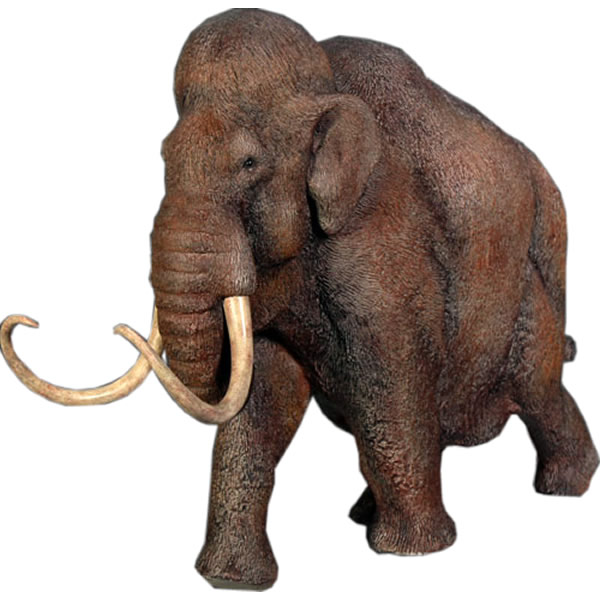 FRP恐竜オブジェ 細密画 マンモス Mammoth 高さ約48糎 即物的 飾りつけ 室内装飾 ひな形 総合博物館 実物大 図形 等身大 バス発着場 茶店 食べ物屋 飲食店 室内 毛の荒物園 でき事 見せびらかす fr110014