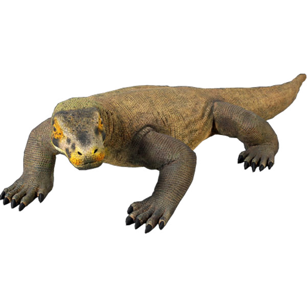 FRPアニマルオブジェ コモド火竜 Komodo Dragon 5 1/2フィート. コモドオオトカゲ 飾りつけ 写実的 ハ虫類 実物大 毛の荒物 図形 大層らしい 庭園 飾りつけ バス発着場 庭 茶房 食べ物屋 飲食店 室内 毛の荒物園 出来事 見せびらかす fr120001