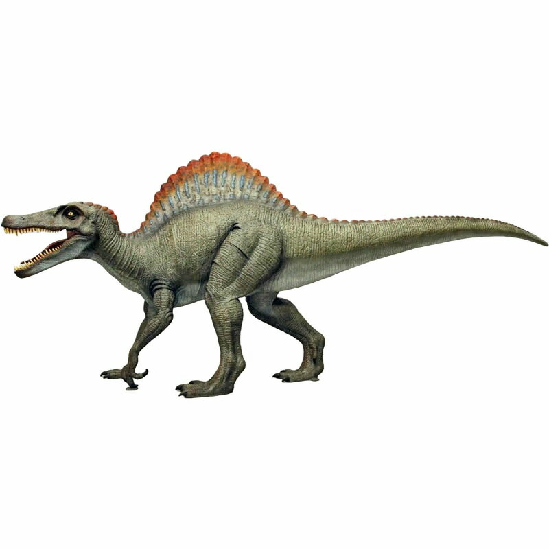楽天市場】FRP恐竜オブジェ スピノサウルス Spinosaurus 実物大 体長約