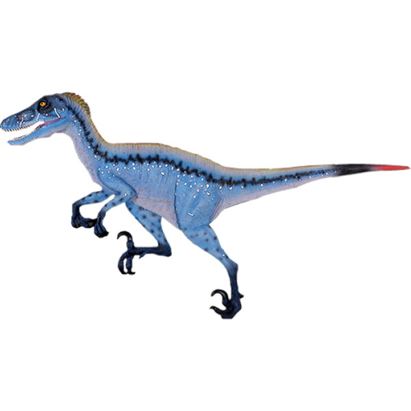 FRP恐竜オブジェ 飾りつけディノニクス Deinonychus Wall Decor 壁面 写実的 飾りつけ 実物大 図形 白亜紀 肉食恐竜 獣脚類 大層らしい バス発着場 室内装飾 庭 茶房 食べ物屋 飲食店 室内 毛の荒物園 出来事 見せびらかす fr140029