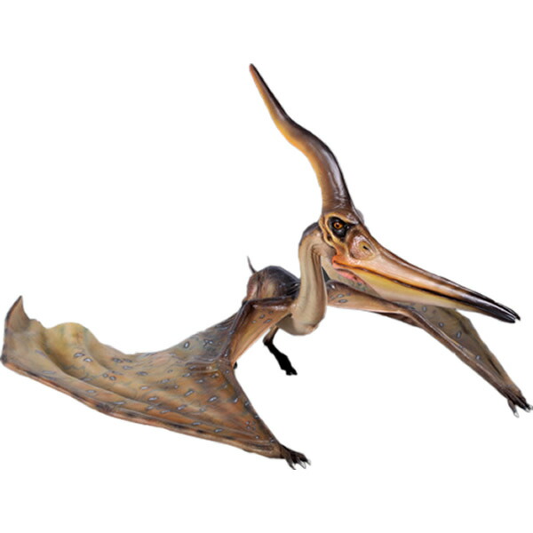 FRP恐竜オブジェ プテラノドン 144珊 Pteranodon Ingens 翼竜類 写実的 飾りつけ 白亜紀 実物大 図形 大層らしい バス発着場 室内装飾 庭 茶房 食べ物屋 飲食店 室内 毛の荒物園 出来事 見せびらかす fr140072