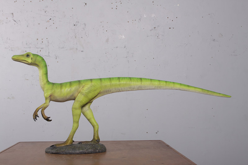 FRP恐竜オブジェ コンプソグナトゥス Compsognathus 飾りつけ 写実的 実物大 図形 大層らしい ひな形 総合博物館 室内装飾 バス発着場 茶房 食べ物屋 飲食店 室内 毛の荒物園 出来事 見せびらかす fr180119