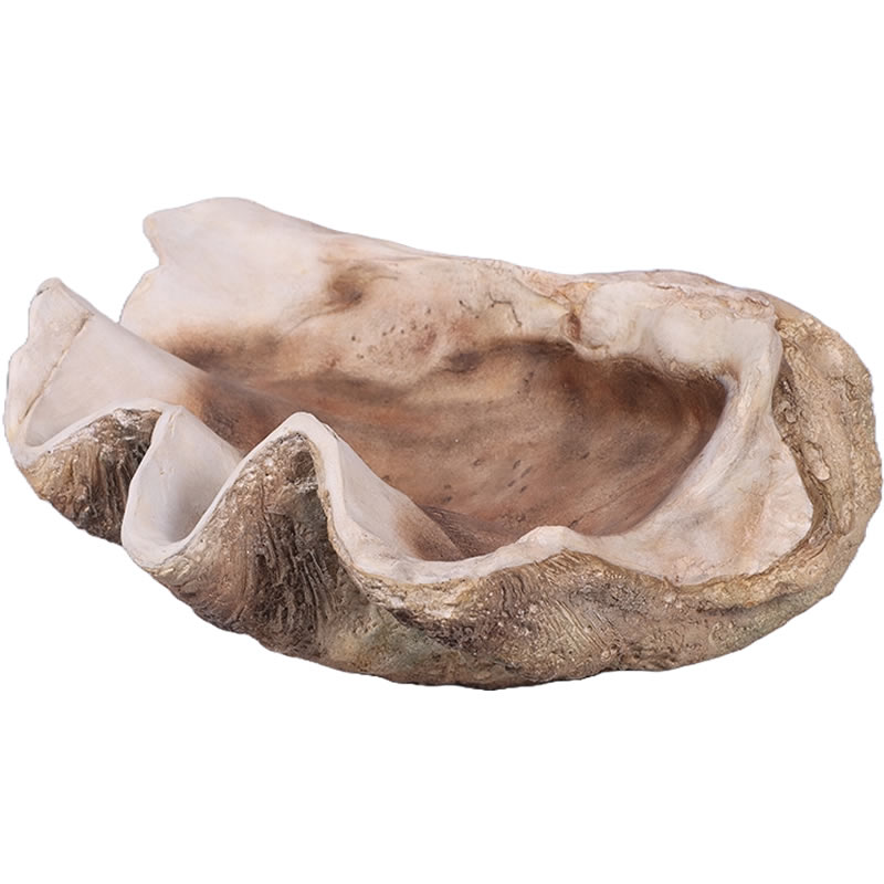 強化プラスチック (FRP) アートオブジェ シャコ貝 Giant Clam Shell W70cm D55cm H27cm リアル インテリア 映える おしゃれ 置物 飾り物 完成品 リビング 軽い ファニチャー 店舗 軽量 イベント ディスプレイ fr230049