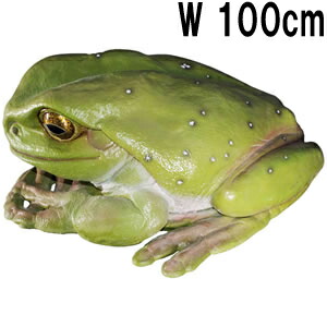 楽天市場】FRPアニマルオブジェ 子キンスジアメガエル Green and