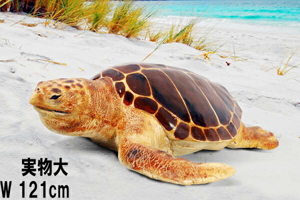 楽天市場】FRP 首の長い亀 / Long-neck Turtle fr100114