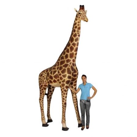 FRPアニマルオブジェ 親麒麟 Giraffe 12Ft. 写実的 実物大 毛の荒物 像 キリン 図形 きりん 大層らしい 飾りつけ 等身大 ガーデニング 飾りつけ 毛の荒物園 愛くるしい 室内装飾 庭 外 バス発着場 喫茶店 茶房 食べ物屋 出来事 見せびらかす fr090070