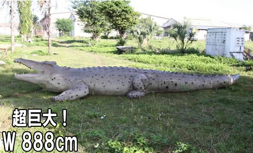 楽天市場】FRPアニマルオブジェ 巨大クロコダイル Crocodile 28ft