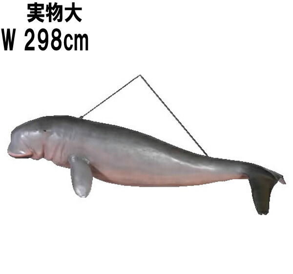 FRPアニマルオブジェ ジュゴン 吊り下げタイプ Dugong-Hanging リアル インテリア 置物 オーナメント フィギュア 実物大 絶滅危惧種 動物 魚 大きい 水族館 動物園 店舗 室内 カフェ 喫茶店 レストラン 飲食店 ディスプレイ fr100127