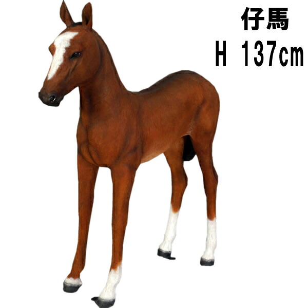 FRPアニマルオブジェ 仔馬 Foal 馬匹 毛の荒物 像 写実的 愛くるしい 飾りつけ 実物大 図形 毛の荒物園 ガーデニング 飾りつけ 大層らしい うま バス発着場 室内装飾 喫茶店 茶房 庭 外 食べ物屋 飲食店 出来事 見せびらかす 等身大 fr120043