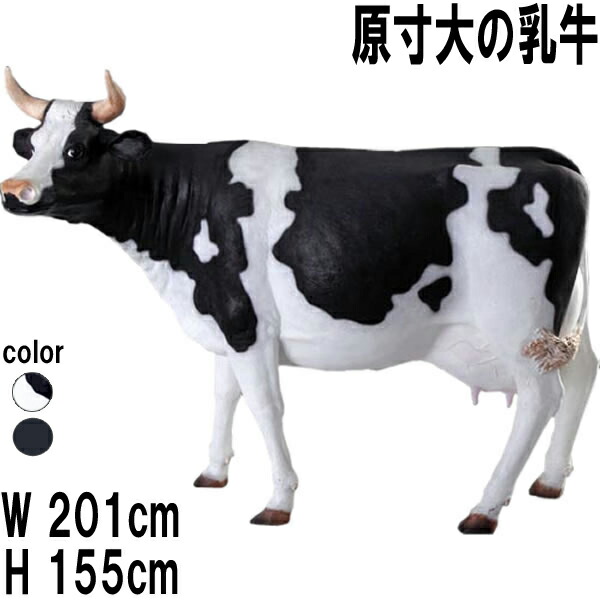 現寸大の乳用種 Cow Life Size 強化因子可塑性物質（FRP） 芸術オブジェ  黒牡丹 毛の荒物 像 大型 実物大 図形 実際的 園地 飾りもの 毛の荒物 飾りつけ うし でき事 見せびらかす 室内装飾 等身大 バス発着場 毛の荒物園 運動場 fr080039
