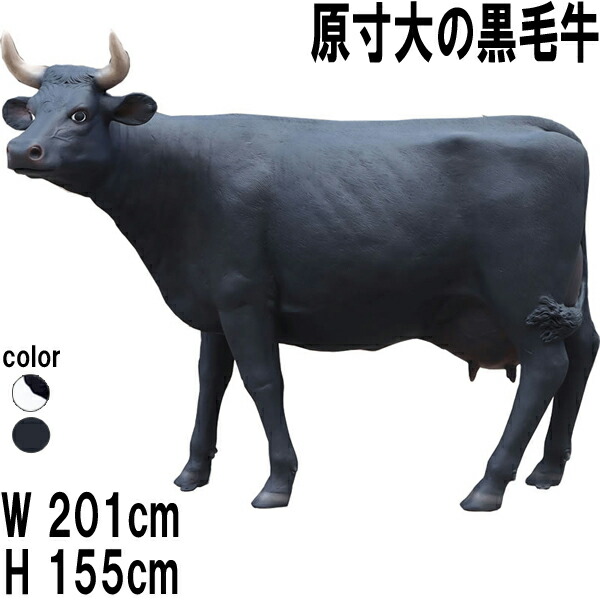 原寸大の黒毛牛 Cow Life Size 強化因子可塑性物質（FRP） 工芸オブジェ 高さ約1m55珊 毛の荒物 牛 飾りつけ 像 飾りつけ 黒牡丹 大型 バス発着場 室内装飾 出来事 見せびらかす 毛の荒物園 遊園地 写実的 かざり付ける 運動場 fr080039BL
