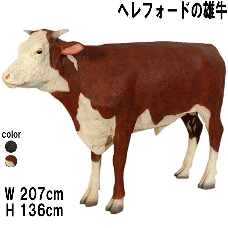 ヘレフォードの雄牛 Hereford Steer 強化プラスチック（FRP） アートオブジェ 動物 像 フィギュア リアル ウシ アニマル 置物 ガーデン オーナメント うし インテリア 実物大 イベント ディスプレイ 等身大 店舗 動物園 公園 fr080125