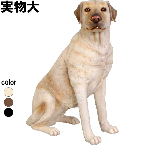 グレートデーン (犬) 置物 インテリア 楽天市場】グレートデン Great Dane - Standing - 強化