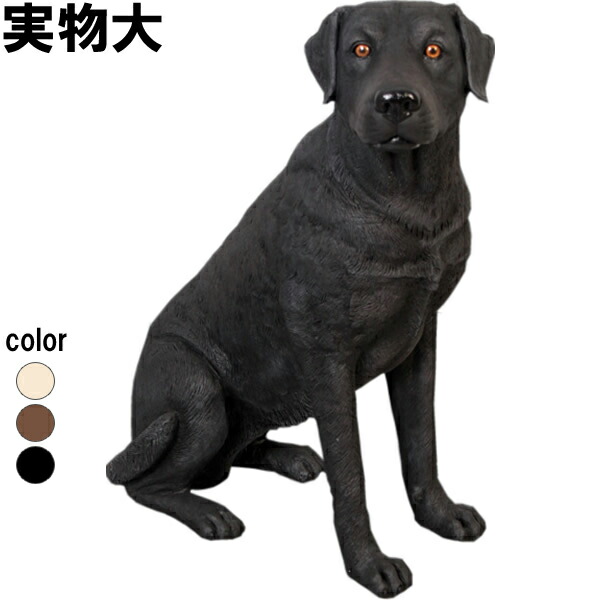 楽天市場】グレートデン Great Dane - Standing - 強化