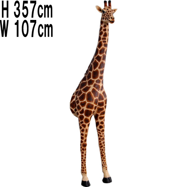 キリンの頭部オブジェ Amazon.co.jp: FRPアニマルオブジェ キリンの頭部/Giraffe