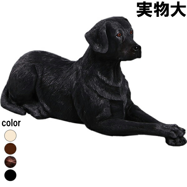 楽天市場】グレートデン Great Dane - Standing - 強化