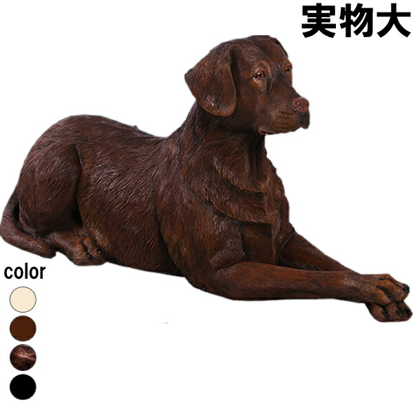 楽天市場】おすわりをするラブラドール Sitting Labrador 強化