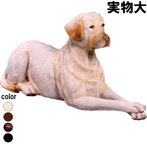 横たわるラブラドール 黄色 Labrador Lying Down 強化因子可塑性物質 (FRP) 工芸オブジェ 犬 飾りつけ 庭 部屋の入り口 外 実物大 毛の荒物 像 映える 等身大 図形 ガーデニング 室内装飾 毛の荒物 秘密捜査員 たわい無い 庭園 飾りつけ 軽さ バス発着場 毛の荒物園 fr150251YE
