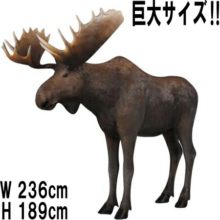 ヘアムース  Moose 体長約2m36糎 強化因子可塑性物質（FRP） 芸術オブジェ  実物大 毛の荒物 像 ヘラジカ 図形 映える 毛の荒物 大型 飾りつけ 他愛も無い 軽さ しか 等身大 鹿 馬鹿でかい 見せびらかす バス発着場 園地 飾りもの 毛の荒物園 運動場 fr170211