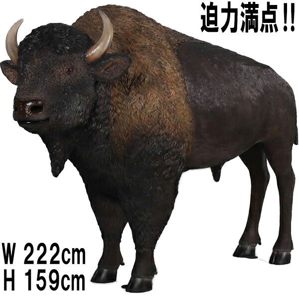 アメリカン バイソン American Bison 強化プラスチック(FRP) アートオブジェ 体長約2m22cm 実物大 迫力満点 絶滅危惧種 リアル 動物 像 置物 ガーデン オーナメント イベント ディスプレイ 大型 フィギュア インテリア 店舗 動物園 遊園地 装飾 公園 fr170229|マスキ
