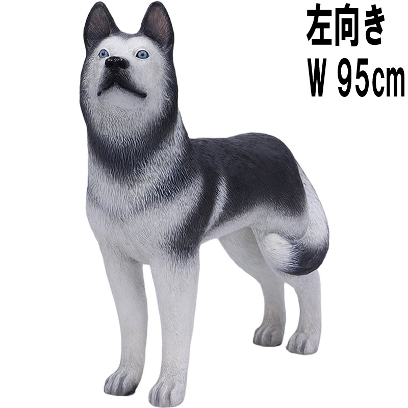 ハスキー犬 左向き W95cm 犬 いぬ イヌ 動物 シベリアンハスキー 実物大 等身大 フィギュア レプリカ 大きい オブジェ インテリア 置物 動物像 イベント ディスプレイ リアル 店舗 装飾 かわいい ペット 愛犬 中型犬 大型犬 FRP 軽量 fr180171L|マスキ