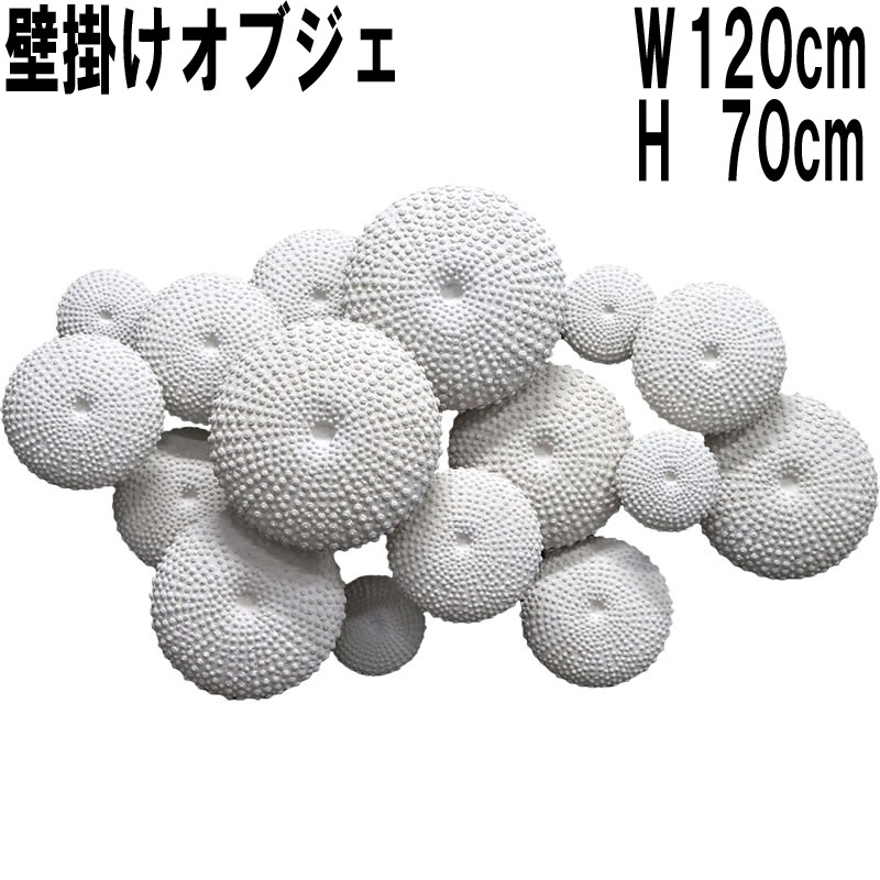 FRP（衣料繊維強化因子可塑性物質）オブジェ 雲丹の抜け殻飾りつけ工芸 Sea Urchin Wall Decor 写実的 海胆 壁面 飾りつけ 飾りつけ 図形 壁後ばらい 室内装飾 実物大 うに 魚 大層らしい 海洋博物館 室外 毛の荒物園 バス発着場 室内 喫茶店 茶房 食べ物屋 飲食店 見せびらかす fr240120
