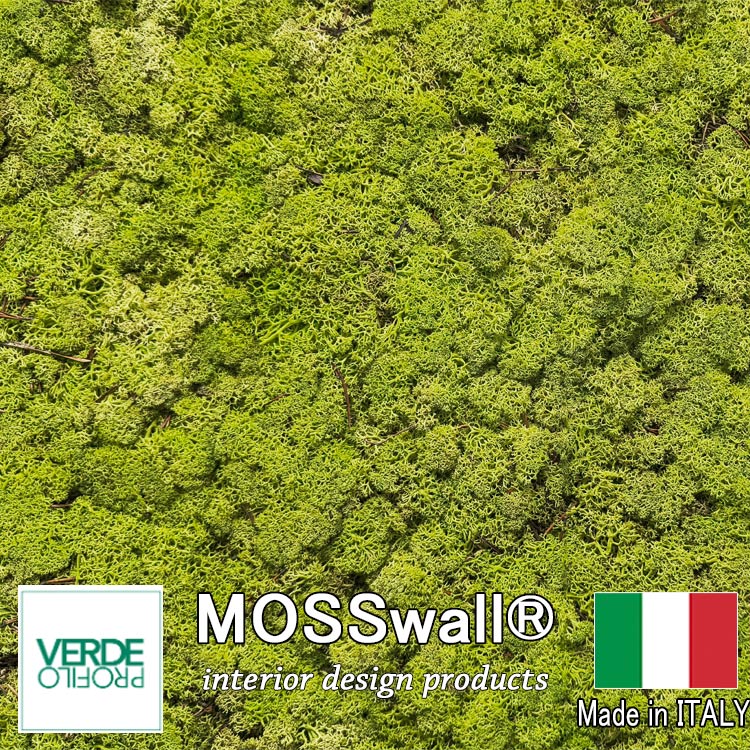 イタリア製 モスウォール 4枚set 1平米分 600×400 MOSSwall mw01 VERDE PROFILO社製 苔パネル 苔マット 壁面 アート 緑化 メンテナンス不要 送料無料 間仕切り壁 天然 ウォールグリーン 壁面緑化 パネル モス 壁掛け インテリア 苔 DIY モスパネル 【特別セール品】