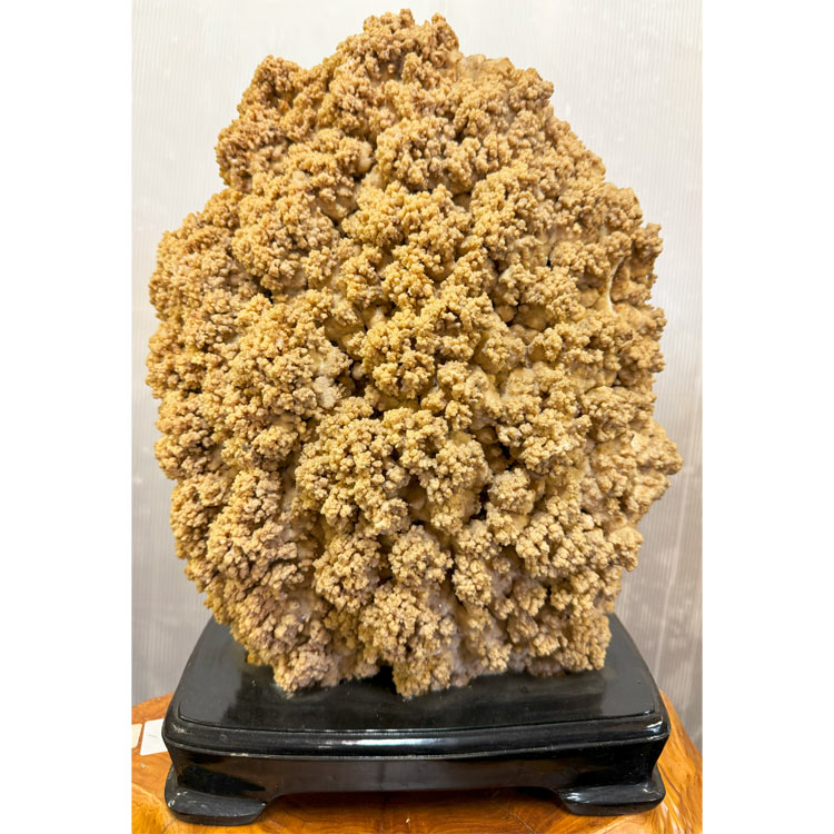 楽天市場】大自然が作り出した唯一無二の神秘な石 鍾乳石 【44】 高さ