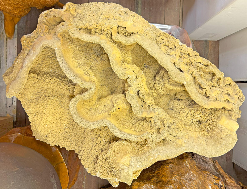 楽天市場】大自然が作り出した唯一無二の神秘な石 鍾乳石 【19