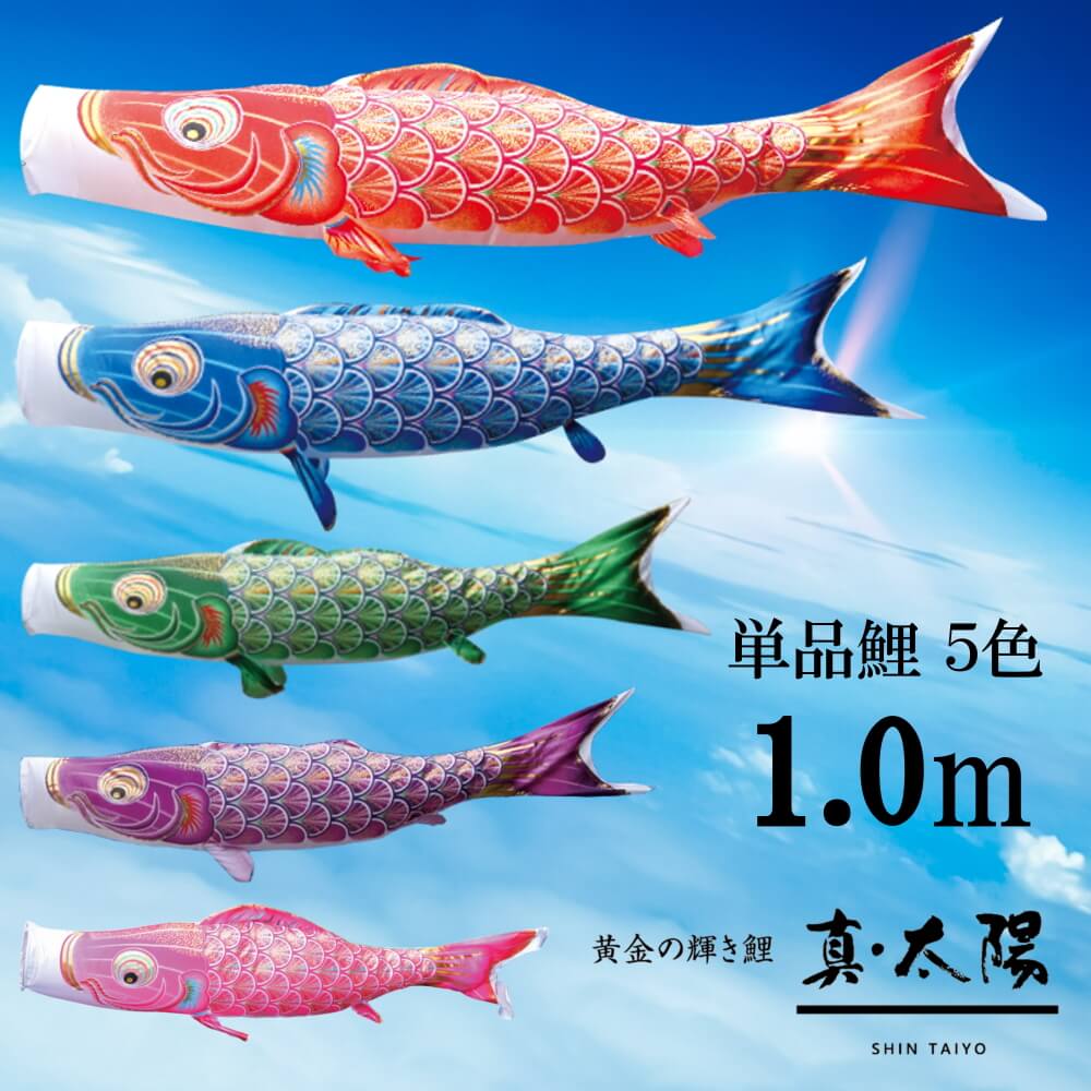 5年年代順の継続一般受けNo１『月続きもの』 あやつり人形の増村 店