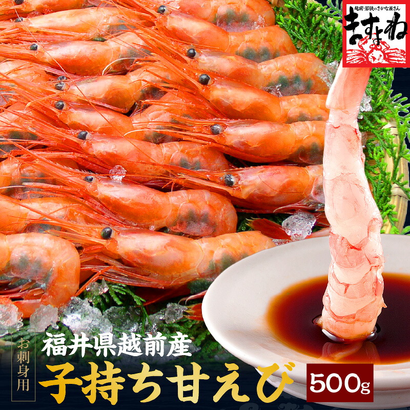 【楽天市場】敬老の日 ギフト プレゼント 2個で500円OFFクーポン有 [グルメ大賞エビ部門3度受賞]【福井県産】子持ち越前甘えび500g[約30尾-40尾入](無添加・無着色)[ えび エビ 海老 甘エビ 刺身 あまえび アマエビ ]送料無料 お中元 御歳暮 お取り寄せ グルメ プチギフト 年末受付開始：越前かに問屋「ますよね」