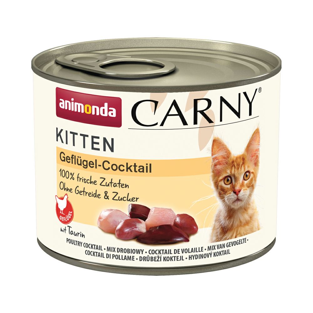 ✴︎送料込！✴︎フォムファインステン ムース サーモン・鳥 成猫用 85g フォムファインステン パンナコッタ サーモン 100g(83023)