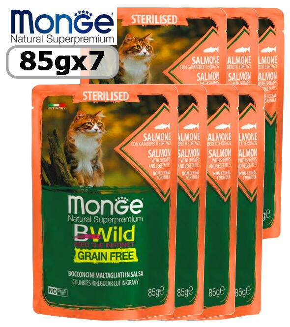 モンセ B-Wild グレインフリー 2kg Monge B-Wild グレインフリー 400g×2 2kg×2 - メルカリ