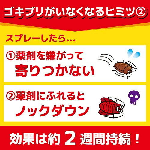金鳥コックローチゴキブリがいなくなるスプレー(200mL)/大日本除虫菊